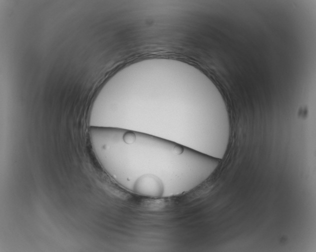 X0000111180131200907011041