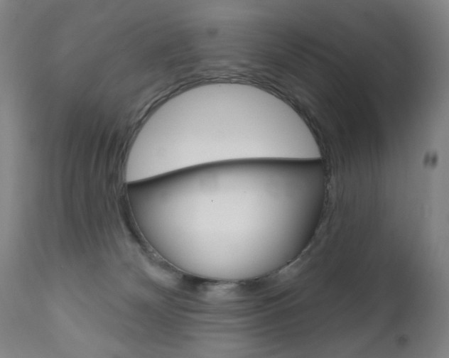 X0000111180132200907011041