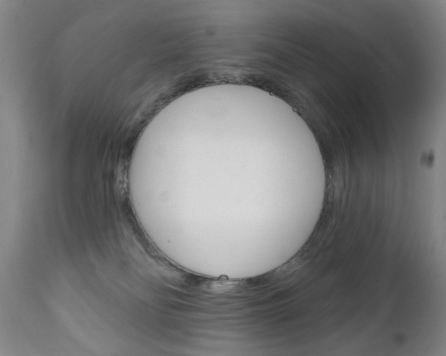 X0000111180134200907011041