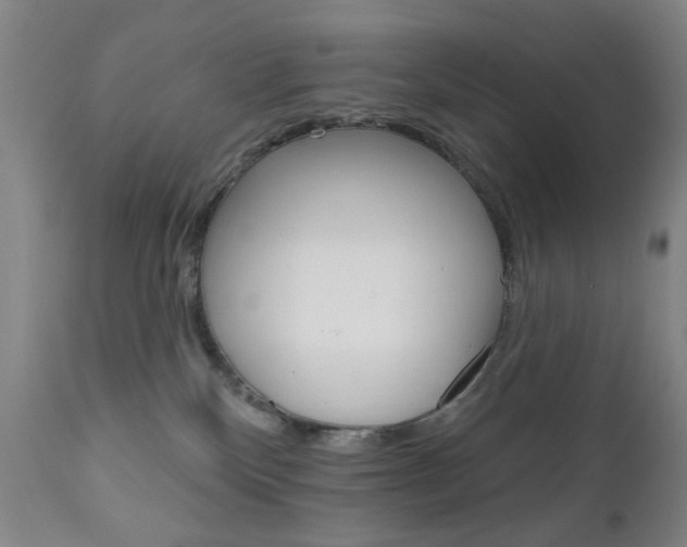 X0000111180136200907011041