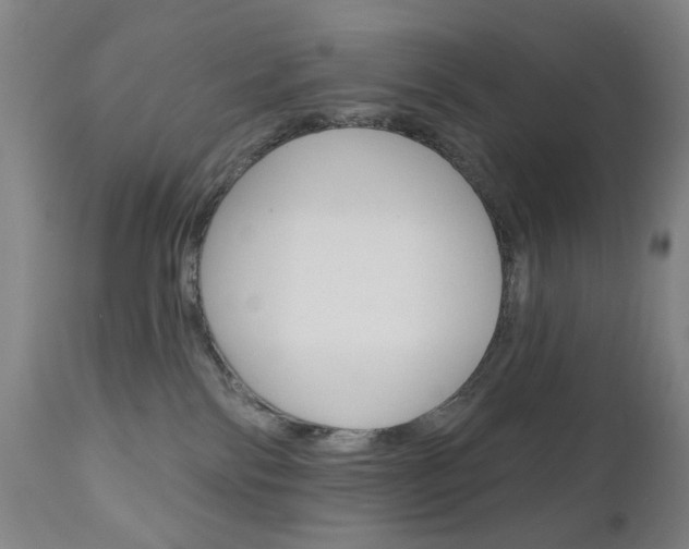 X0000111180138200907011041