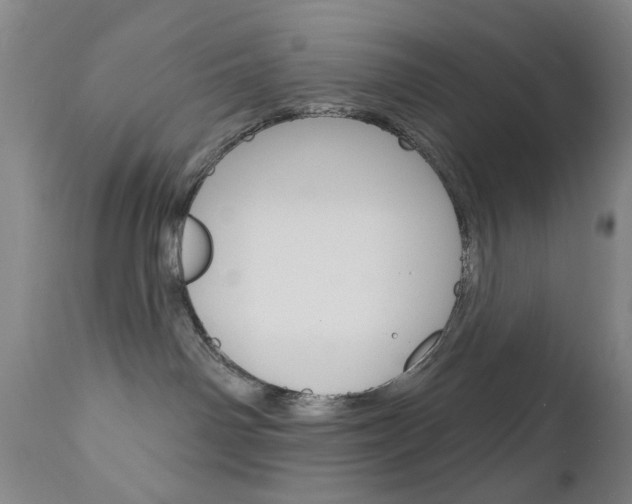 X0000111180142200907011041