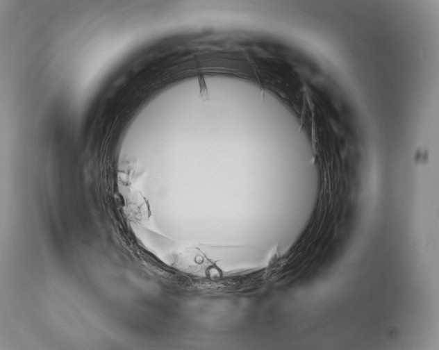 X0000111180146200907011040