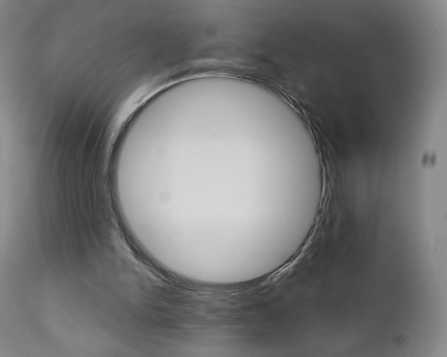 X0000111180150200907011040