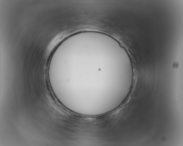 X0000111180151200907011040