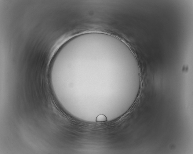 X0000111180152200907011040