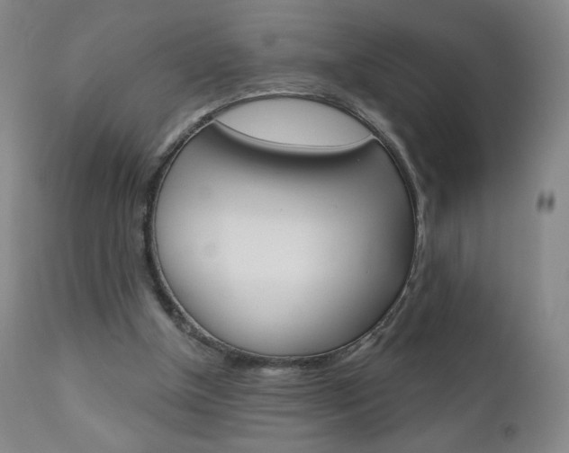 X0000111180154200907011040