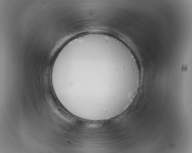 X0000111180155200907011040