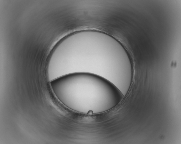 X0000111180156200907011040