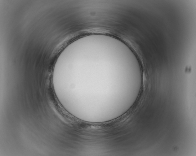 X0000111180157200907011040