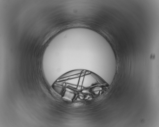 X0000111180158200907011040