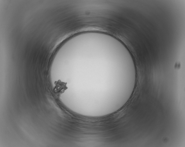 X0000111180160200907011040