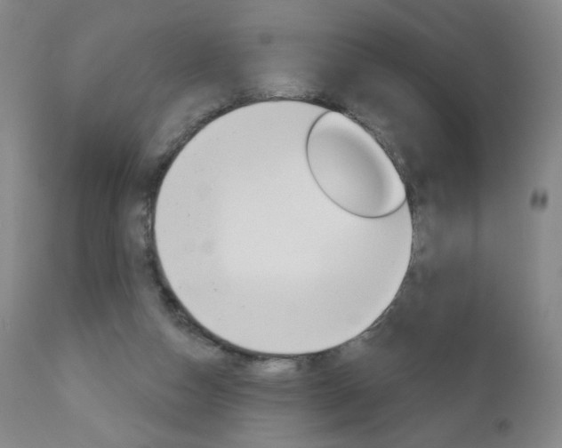 X0000111180162200907011040