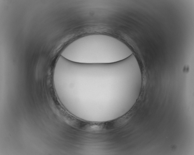 X0000111180163200907011040