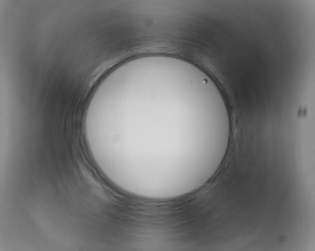 X0000111180164200907011040