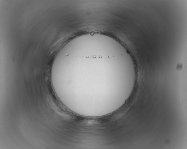 X0000111180165200907011040