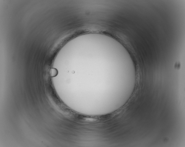 X0000111180167200907011040