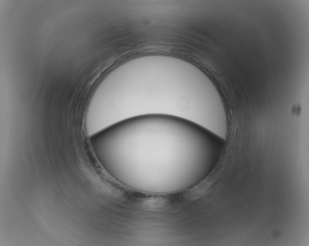 X0000111180168200907011040