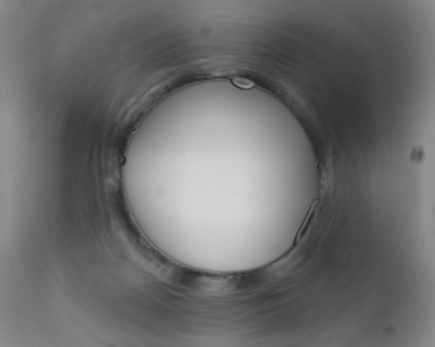 X0000111180170200907011040