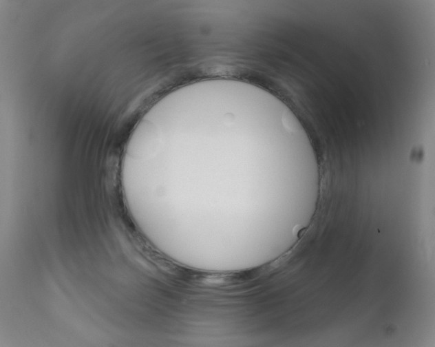 X0000111180171200907011040