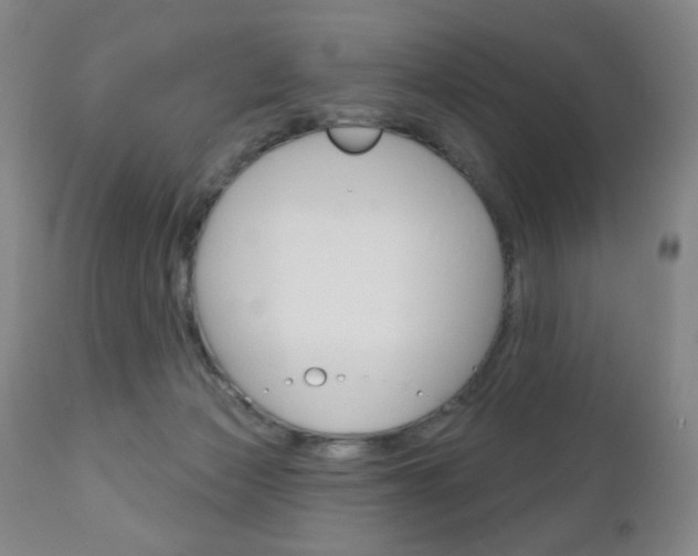X0000111180173200907011040