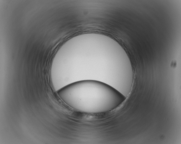 X0000111180174200907011040