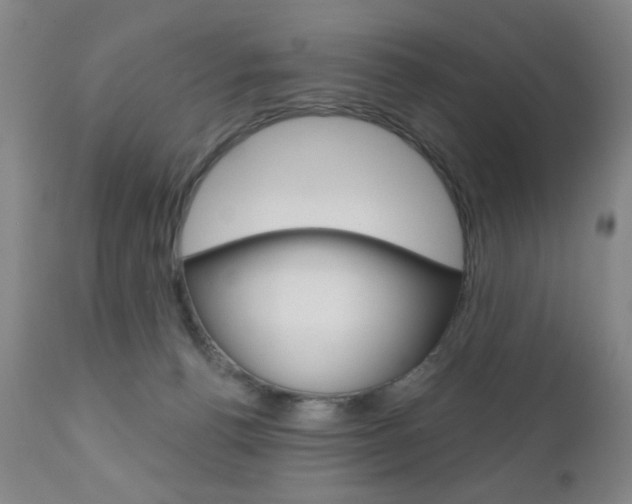 X0000111180176200907011040