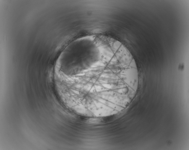 X0000111180179200907011040