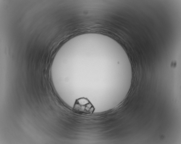 X0000111180180200907011040