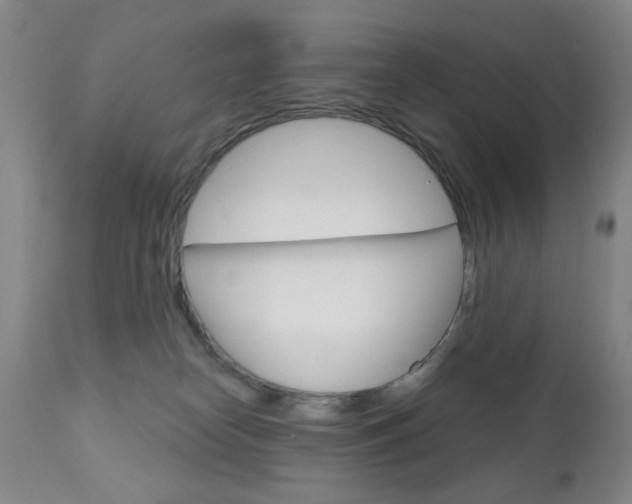 X0000111180182200907011041