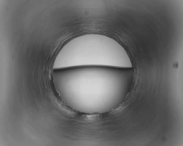 X0000111180188200907011041