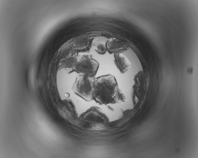 X0000111180189200907011041