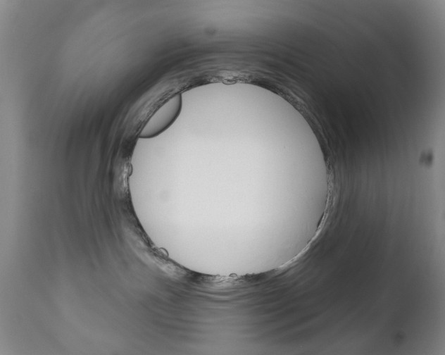 X0000111180191200907011041