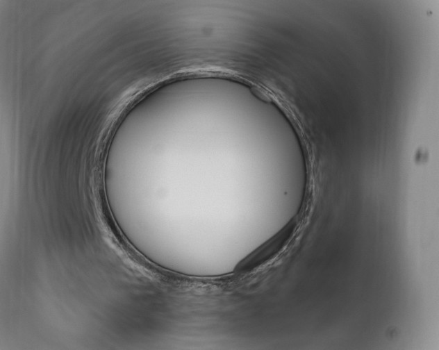 X0000111180193200907011040
