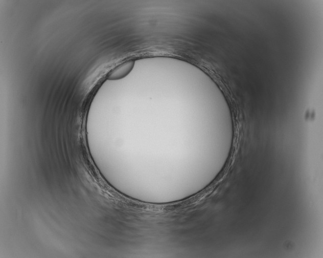 X0000111180194200907011040