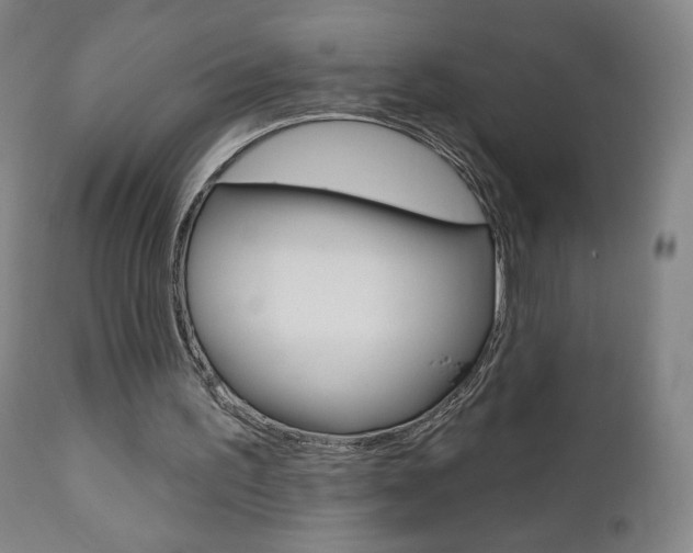 X0000111180195200907011040