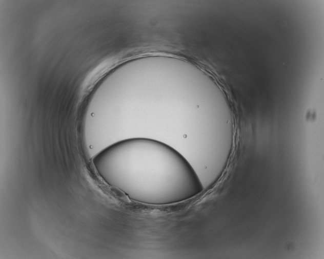 X0000111180197200907011040