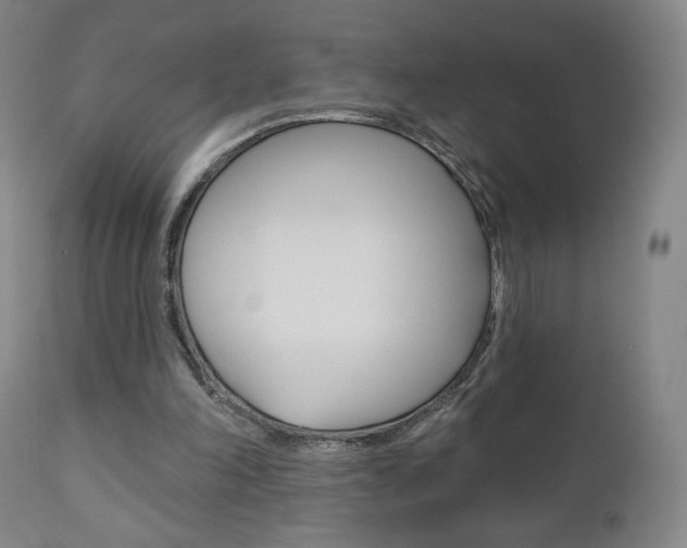 X0000111180198200907011040