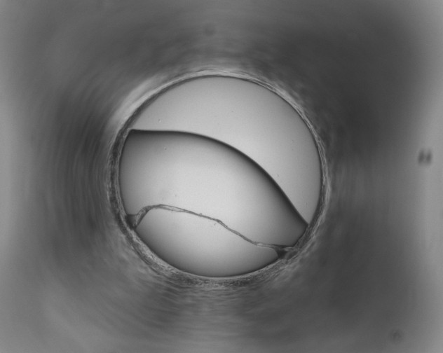 X0000111180199200907011040