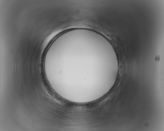 X0000111180200200907011040