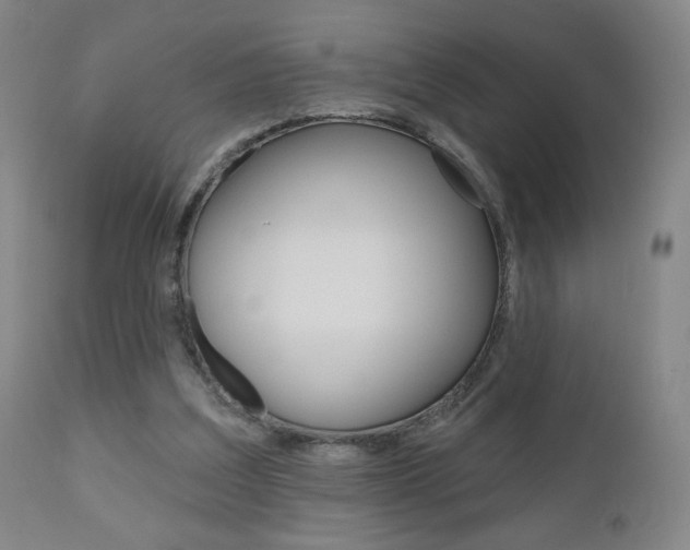 X0000111180203200907011040