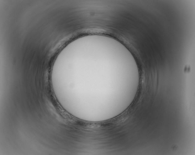 X0000111180206200907011040