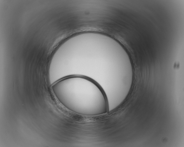 X0000111180207200907011040