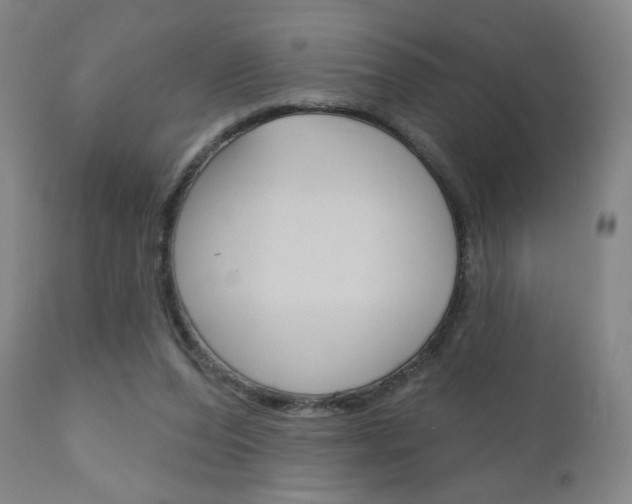X0000111180208200907011040