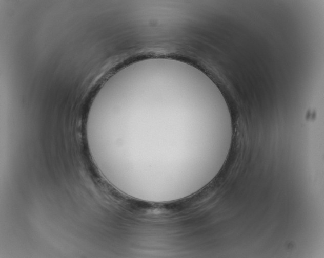 X0000111180212200907011040