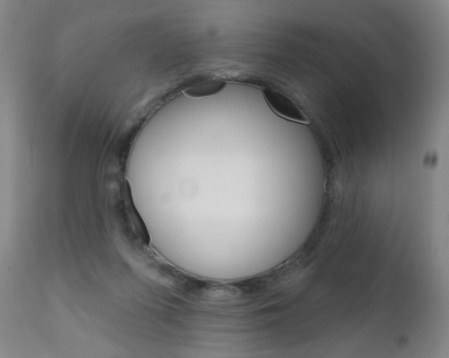 X0000111180215200907011040