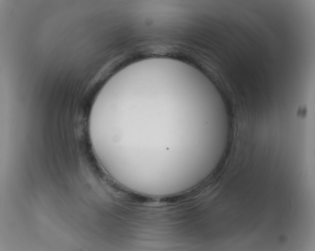 X0000111180216200907011040