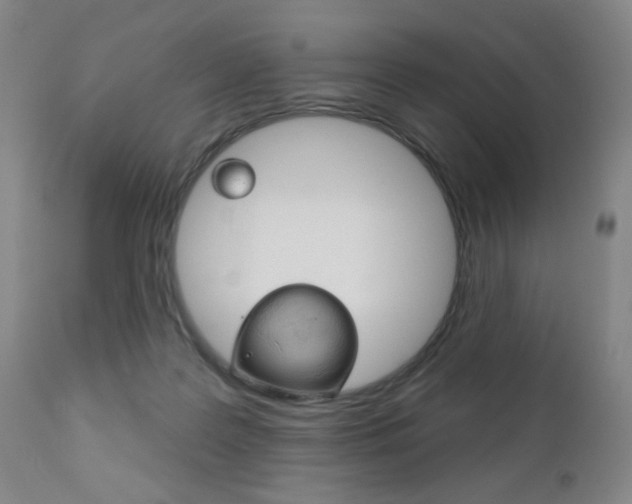 X0000111180219200907011040