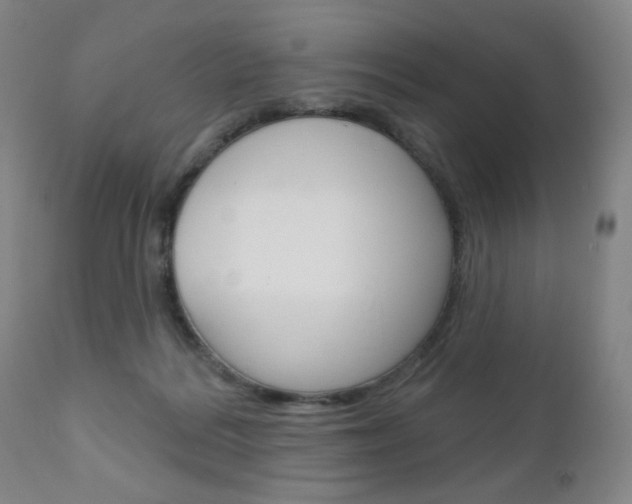 X0000111180220200907011040