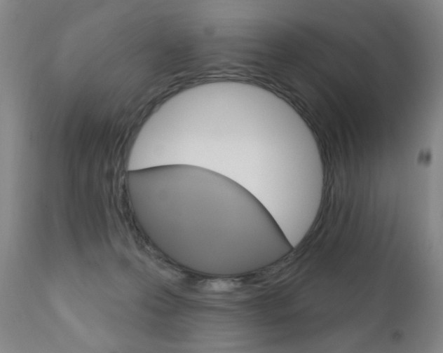 X0000111180223200907011040